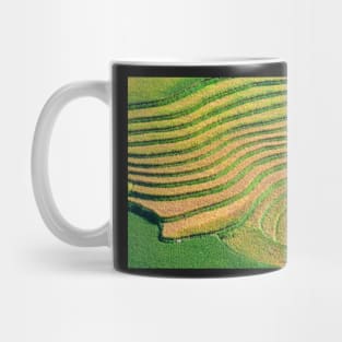 Rice Terrace3. Mug